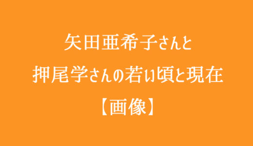 矢田亜希子と押尾学の今現在とやまとなでしこの若い頃の写真まとめ