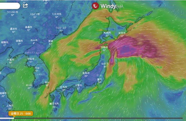 台風１２号　ドルフィン　windy　25日