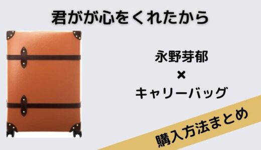 君が心をくれたから・永野芽郁のオレンジのキャリーバッグがかわいい！