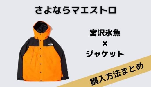 さよならマエストロ・宮沢氷魚のノースフェイスのジャケットはこれ！