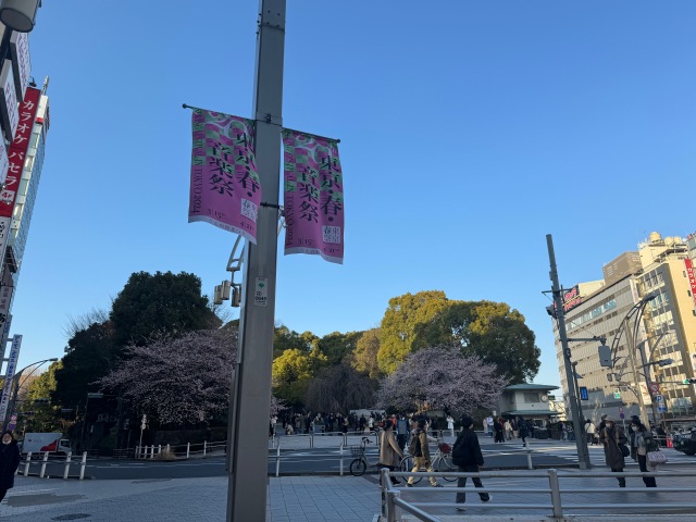 上野公園　うえの桜まつり　東京春音楽祭　２０２４年