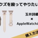 あのクズを殴ってやりたいんだ　玉井詩織　Applewatchバンド