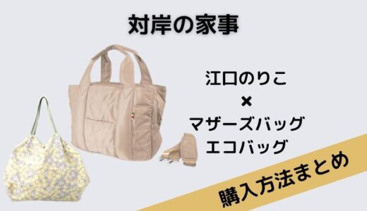 対岸の家事・江口のりこのマザーズバッグとエコバッグがステキ！気になるブランドは？