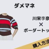ダメマネ　川栄李奈　ボーダートップス