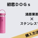 初恋ＤＯＧｓ　清原果那　ステンレスマグ