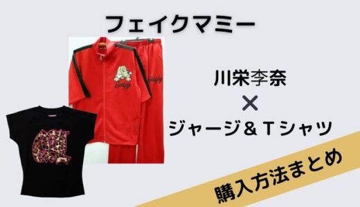 フェイクマミー　川栄李奈　ジャージ　Ｔシャツ