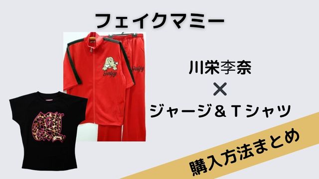 フェイクマミー　川栄李奈　ジャージ　Ｔシャツ
