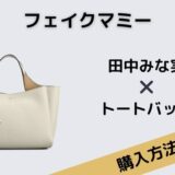 フェイクマミー　田中みな実　トートバッグ