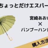 ちょっとだけエスパー 宮崎あおい バンブーハンドル 傘