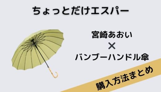 ちょっとだけエスパー　宮崎あおい　バンブーハンドル　傘