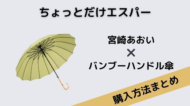 ちょっとだけエスパー　宮崎あおい　バンブーハンドル　傘